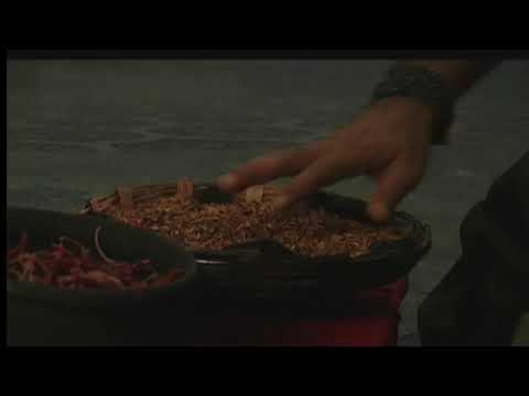 Showreel