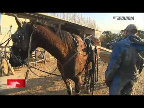 Carnet de pistes : Romuald Mourice