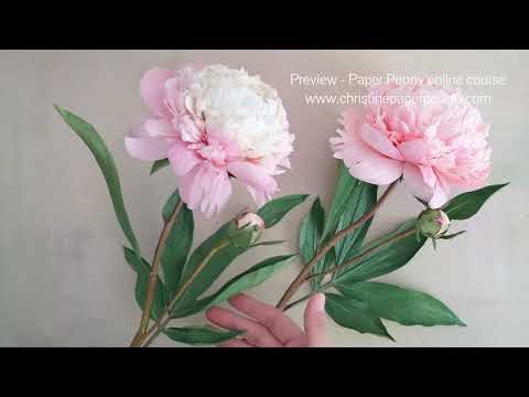 How to make paper peonies - preview for my new online video course.