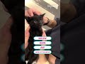 Kitten Makes The Weirdest Cutest Sound 🥹 ️ Kitten Meow Cat