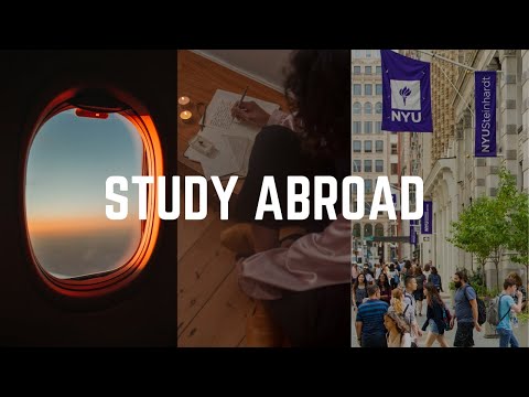 Beyond Borders: The Ultimate Study Abroad Guide | Vibepedia