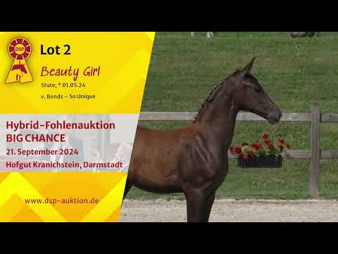 Lot 2 v. Bonds / So Unique