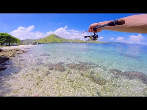 Fishing & Snorkeling Tropical Reefs -- Pt. 6