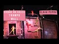CIRQUE DU SOLEIL TRAMPO WALL DRALION By Slava Popov