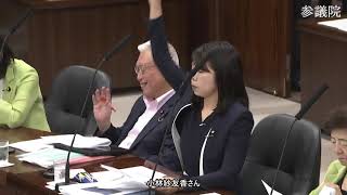 【字幕付き】20260618 参議院 法務委員会 04 小林さやか国民民主党・新緑風会