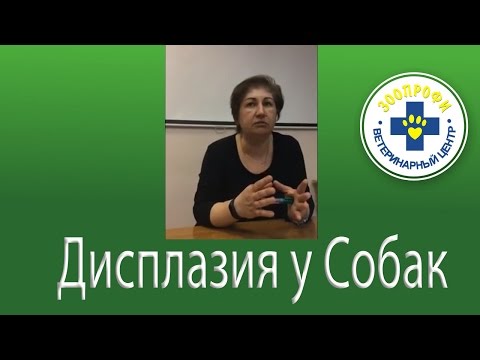 Восстановление суставов питание Гимнастика по норбекову для суставов ютуб