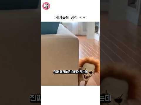 개깜놀의 정석 ㅋㅋㅋ