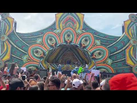 Vegas @ Mandallah 2022