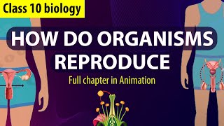 How Do Organisms Reproduce Complete Chapter🔥 in Animation |Class 10th Science CH-6| NCERT covered|