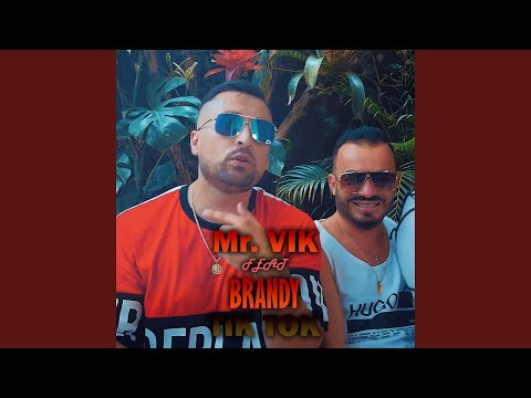 Tik Tok (feat. Brandy)