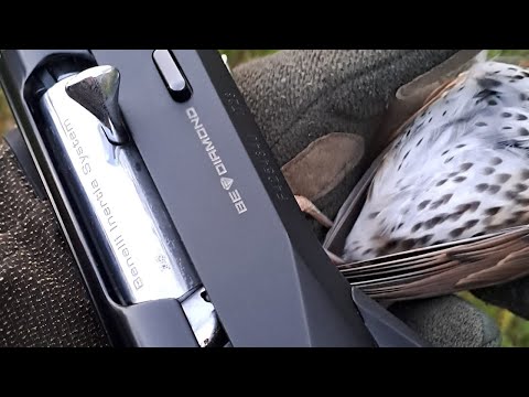 HUNTING TEST of the Benelli ADVANCED IMPACT, Starling, Thrush and Wood Pigeon