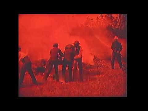 Les Petits vagabonds (1905) The Young Tramps (Pathé)