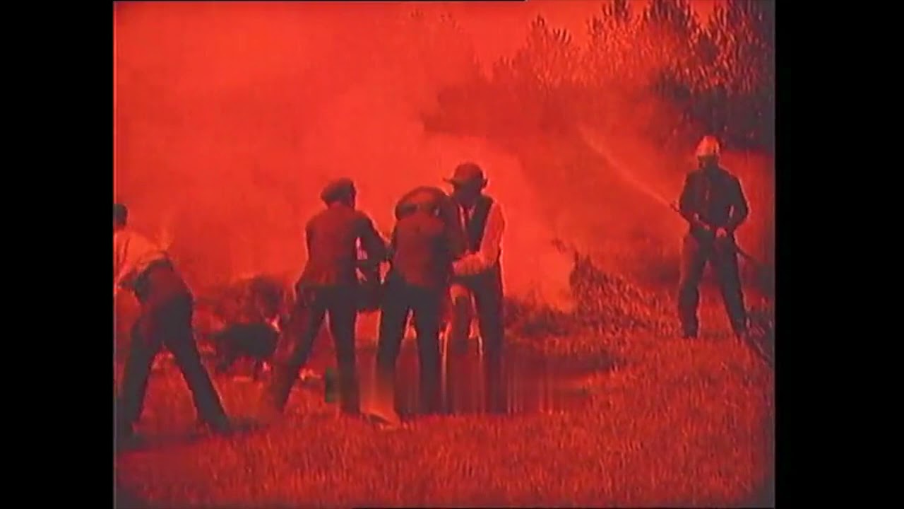 Les Petits vagabonds (1905) The Young Tramps (Pathé)