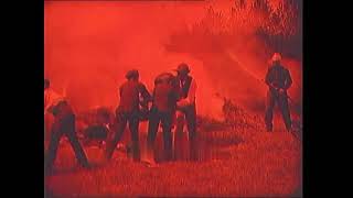 Les Petits vagabonds (1905) The Young Tramps (Pathé)