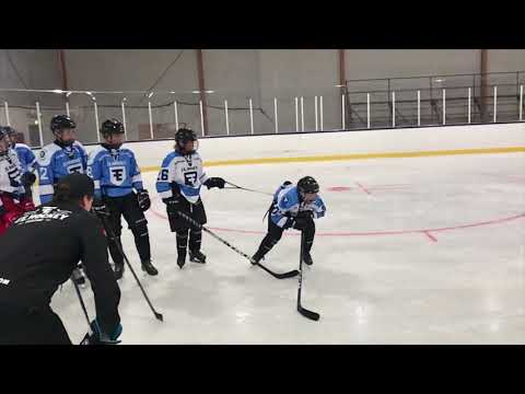 Professional Power Skating and Skills, Summer Highlights, Sweden 2019 - F.E. HOCKEY