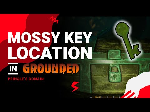 Grounded mossy key - zonequst