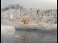 Zoo Holiday Enrichment