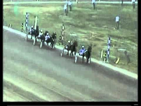 Euro Classic Trot 2001 -Zerberus