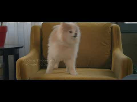 WOO WOO MONSTER - Wells Fargo Home Mortgage Commercial 2019