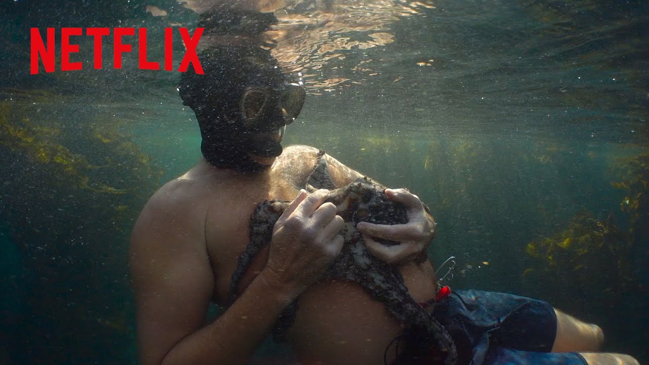 好きな雌ダコに会うため、１年間海に潜りまくった男 | オクトパスの神秘: 海の賢者は語る | Netflix Japan thumnail