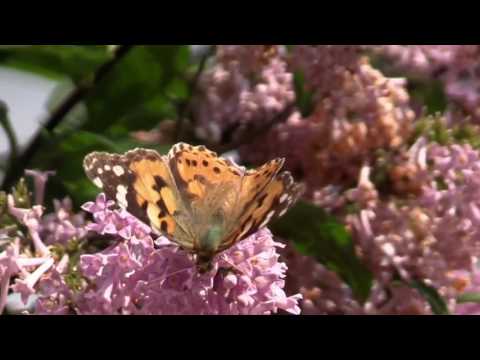 June 29th Soothing Words: Complaining