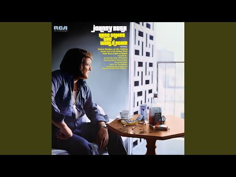 Green Snakes On The Ceiling