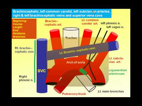 EslamNabil617’s Video 140732525833 f2SABpZ9q9s