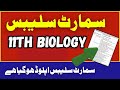 11th Class Smart Syllabus 2026 Download Smart 2026 New Syllabus Pairing Scheme 2026