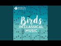Peter And The Wolf Op 67 II The Bird Instrumental Version