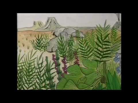 Sauri - Geschichten vom kleinen Dinosaurier