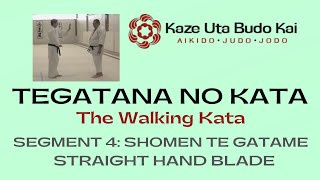 4. Shomen Te Gatame