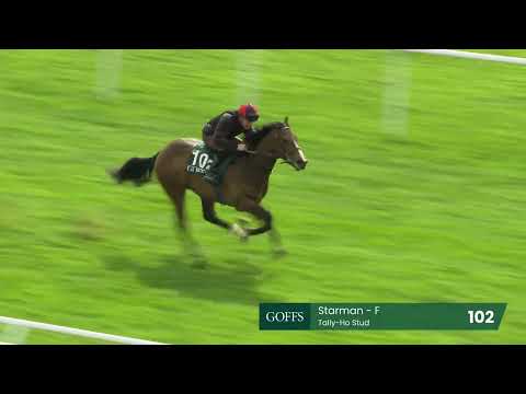 Breeze Up Sale 2025 - Lot 102