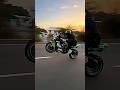 Jannu Rider 1 5km Kawasaki Zx10r Wheelie Short Zx10r Rider 2024 Bike Stunt Zx10r Shorts Stunt