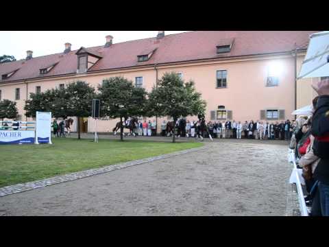 Dressurquadrille Musik & Hengste Moritzburg 23.08.2014