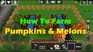 How to Grow Melon and Pumpkin | FARMING #1