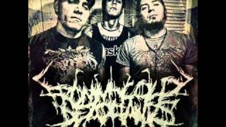 FROM MY COLD DEAD HANDS - Pito Wilson ( raza odiada) Brujeria Cover 2011