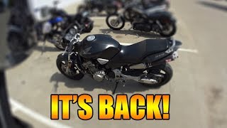 My Honda 919 is BACK!