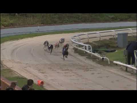 2019 RPGTV 500 - HEAT3 - T2 BALLYMARTIN HERO