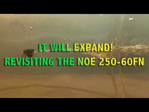 It will expand! Revisiting the 250 60fn and the Airforce Condor .25.