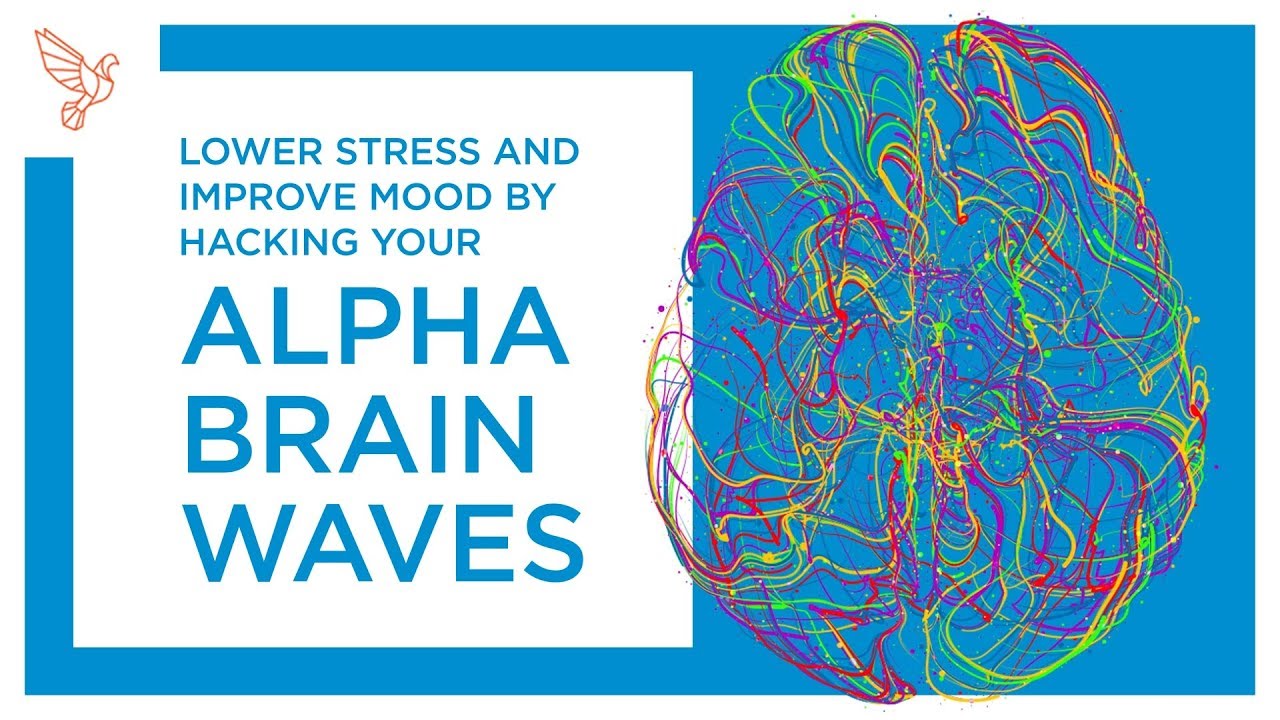 How to Boost Your Alpha Brain Waves to Lower Stress and Improve Mood - YouTube