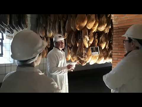 Jornalistas internacionais de gastronomia e vinhos visitam Cinco Jotas