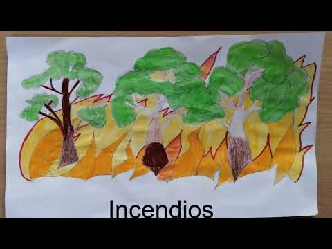 Y tú ¿Qué piensas?