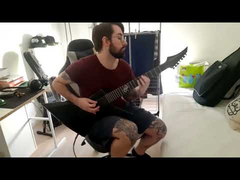 ABORTED - VERMICULAR OBSCENE OBESE GUITAR COVER