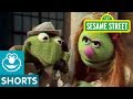 Sesame Street Rumplestiltskin S Real Name Kermit News