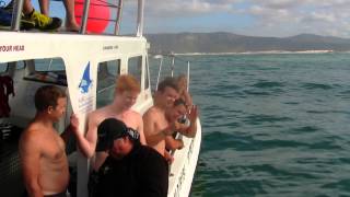 preview picture of video 'Shark Cage Diving in Gansbaai'