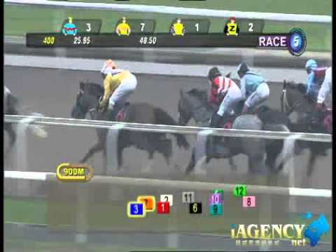 SINGAPORE RACE 10/11/2013 RACE 5 - iAgencyNet.com