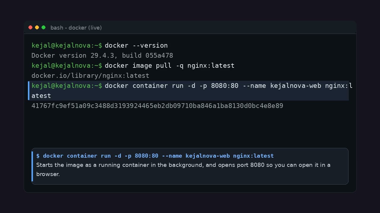 Deploy Nginx in Docker Container & Access it in Browser | Port Expose Step-by-Step