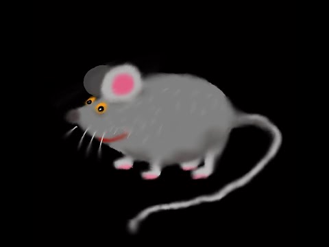 Italian Language Lessons: Introduction to Italian Articles and Nouns practice