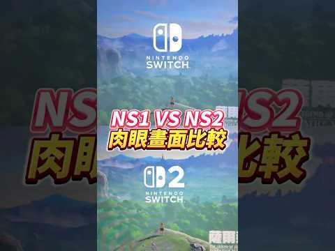 NS1 VS NS2肉眼畫面比較