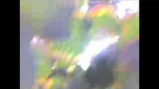 Anticipation by Blonde Redhead